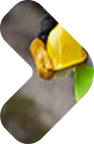 Ace Contracting